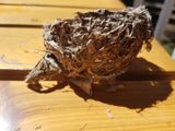 Bird nest 1