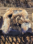 Quail pelt